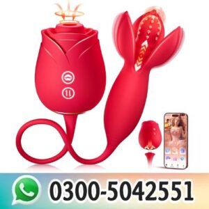 Rose Couple Vibrator Sex Toy